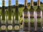 Preview: Silvaner hoch²  (Versandkostenfrei)